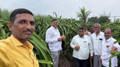औ